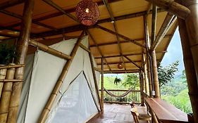 Flor De Loto - Glamping Filandia